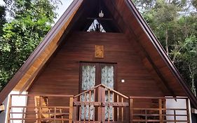 Lion King Jungle Cabanas