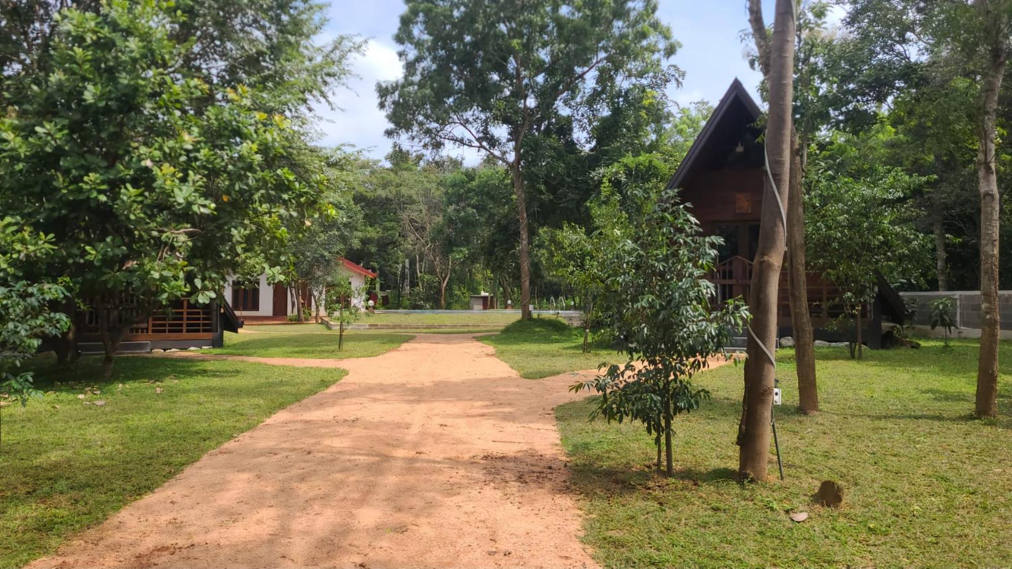 Lion King Jungle Cabanas Sigiriya Exterior foto