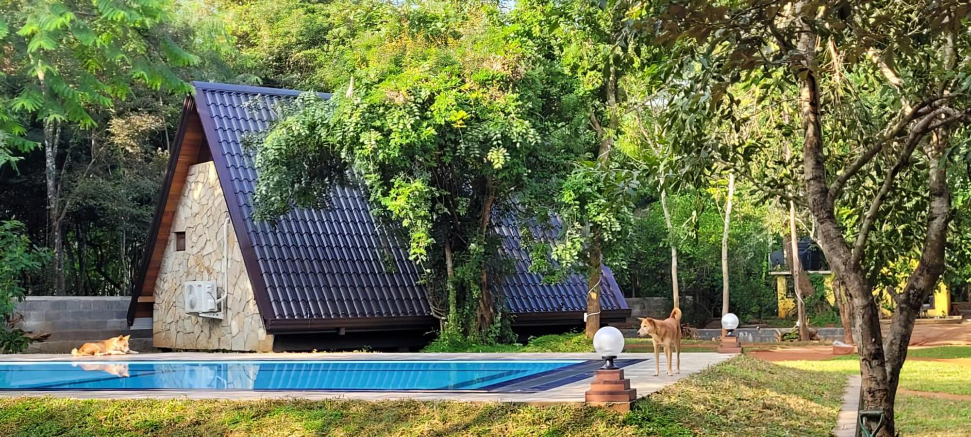 Lion King Jungle Cabanas Sigiriya Exterior foto