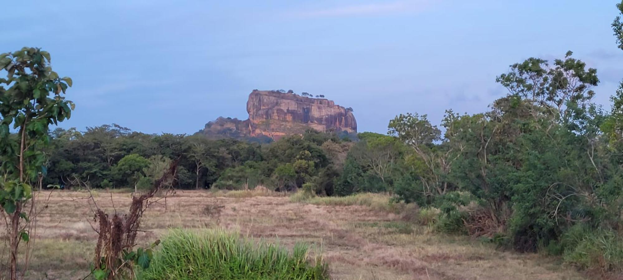 Lion King Jungle Cabanas Sigiriya Exterior foto