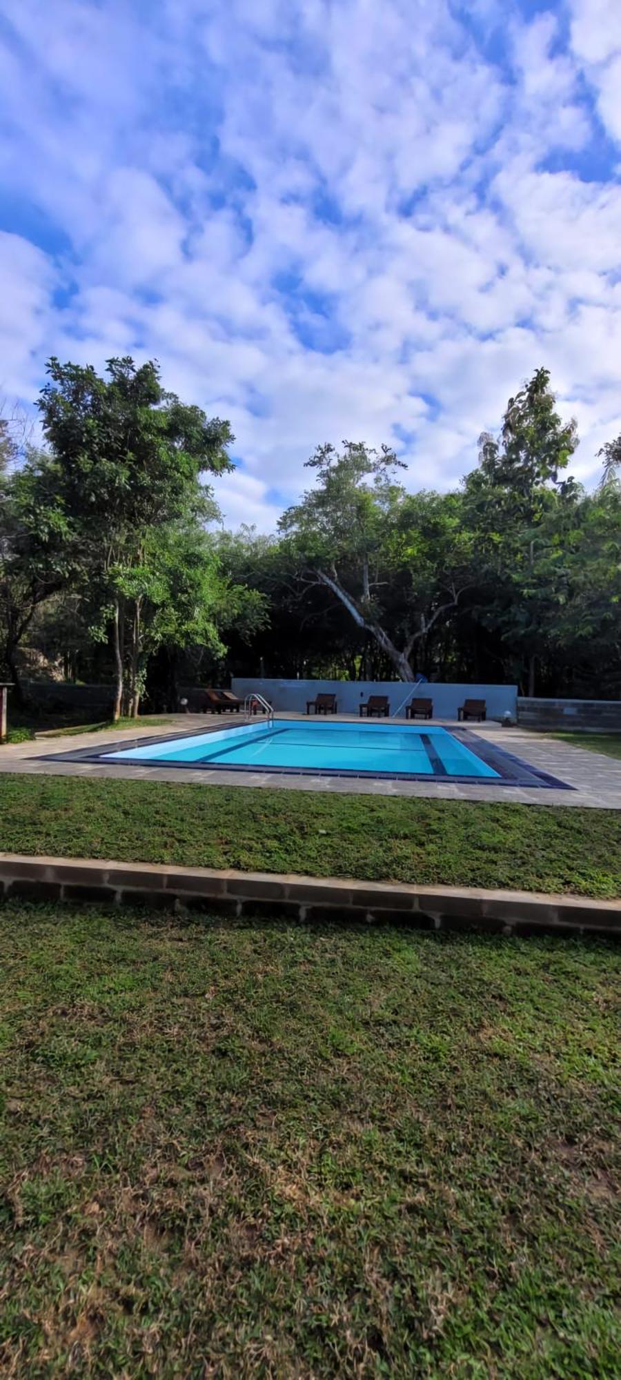 Lion King Jungle Cabanas Sigiriya Exterior foto