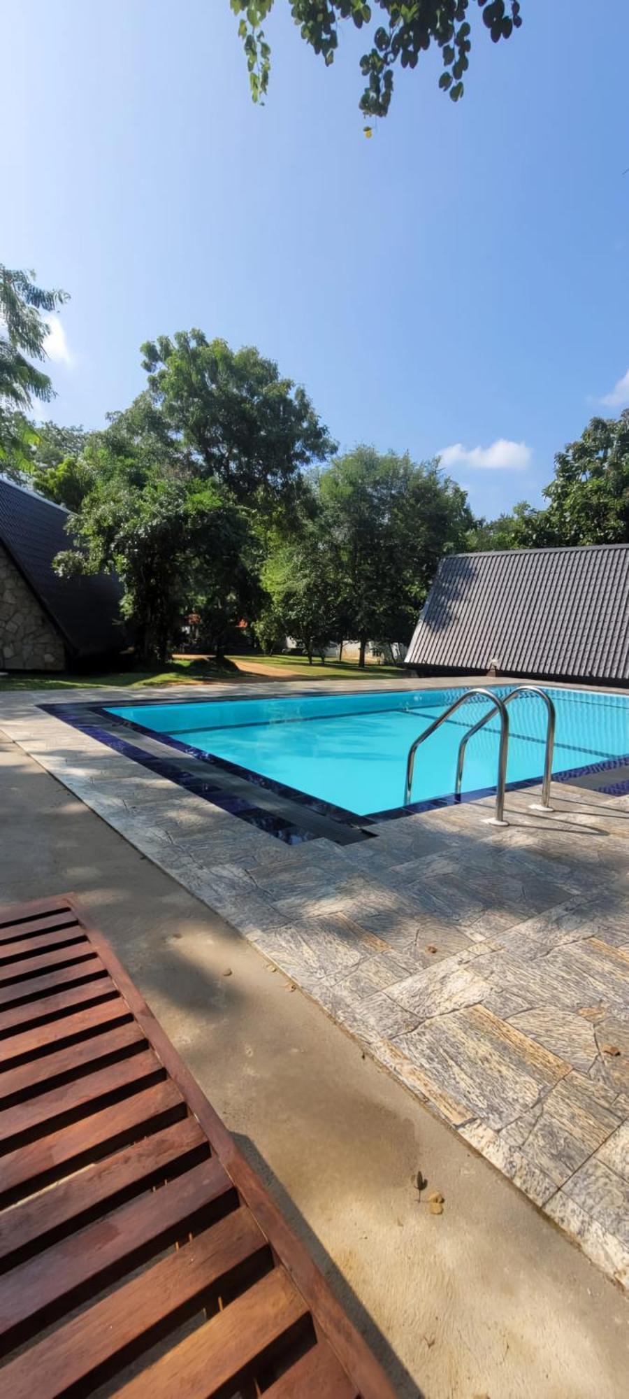 Lion King Jungle Cabanas Sigiriya Exterior foto