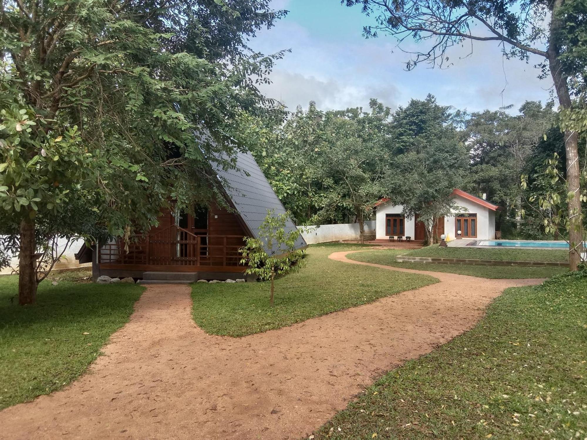 Lion King Jungle Cabanas Sigiriya Exterior foto